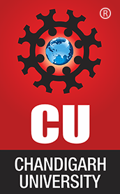 CU - Fin Freedom and Wealth